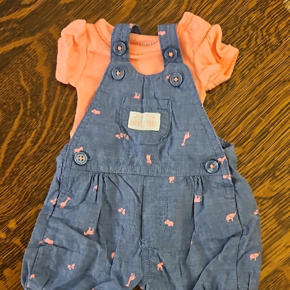 Carter's Blue Overalls with Pink Accents